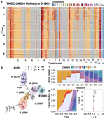 Model evolution of single-cell cancer genomes