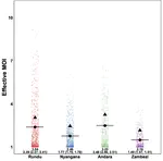 Model genetic variations in malaria